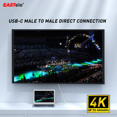 Type-C Male to Male Data Cable